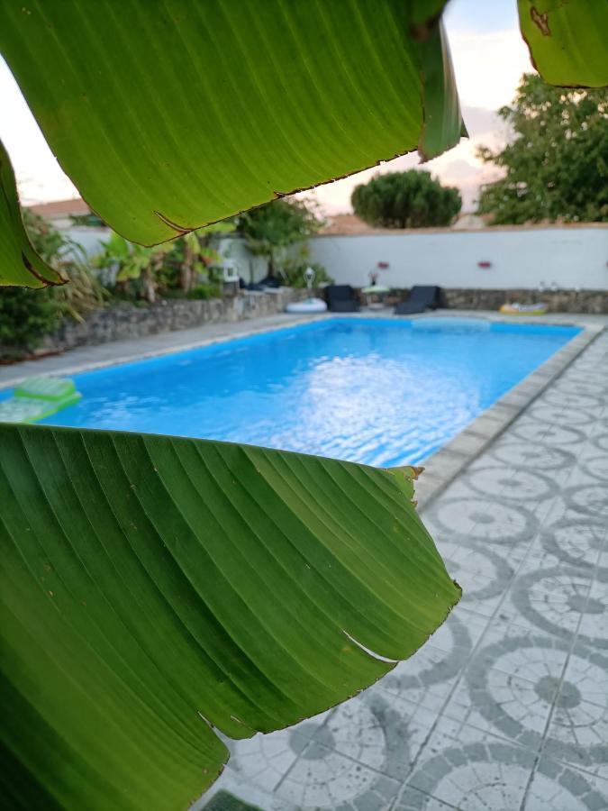 Les Bichettes Bed & Breakfast Mortagne-sur-Sevre Bagian luar foto