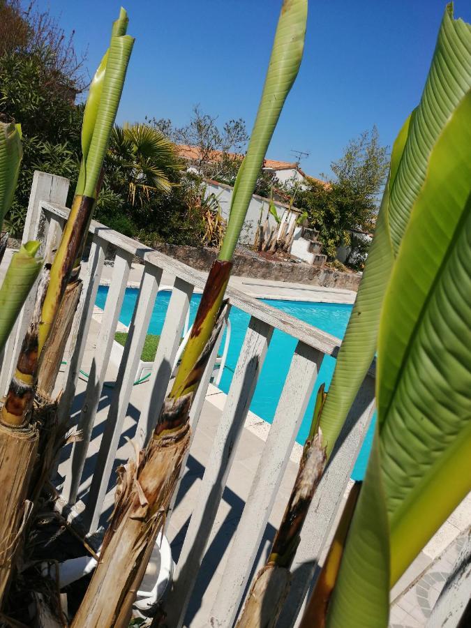 Les Bichettes Bed & Breakfast Mortagne-sur-Sevre Bagian luar foto