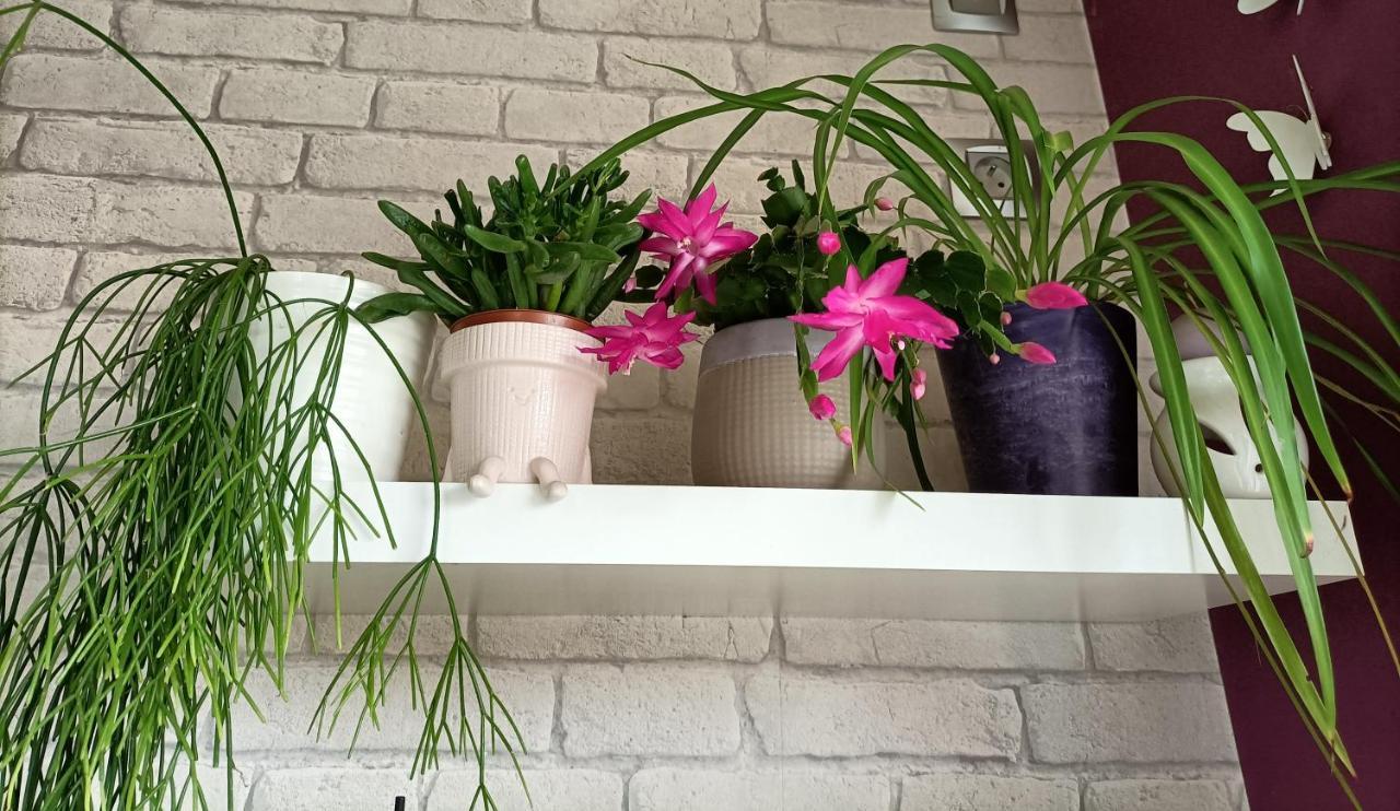 Les Bichettes Bed & Breakfast Mortagne-sur-Sevre Bagian luar foto