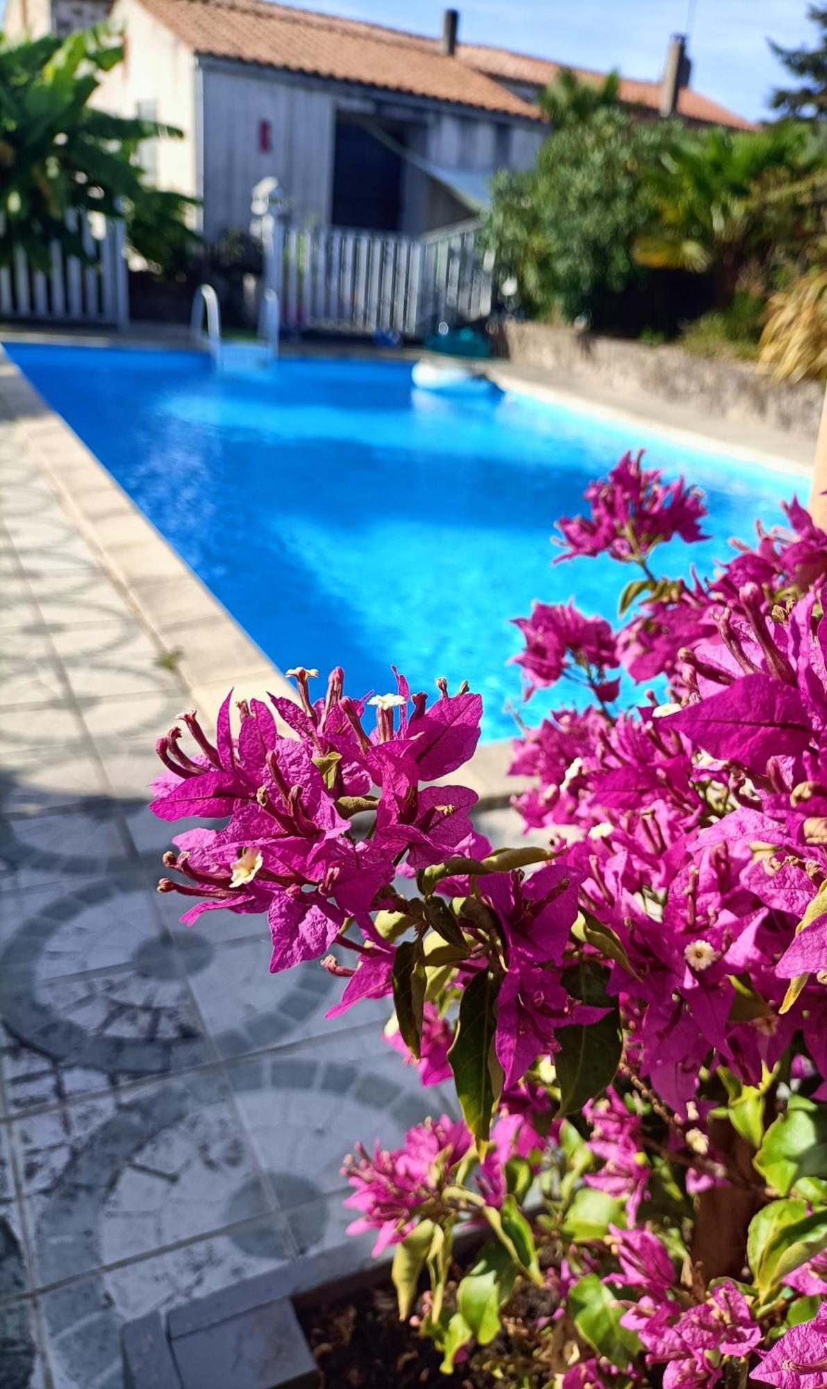 Les Bichettes Bed & Breakfast Mortagne-sur-Sevre Bagian luar foto